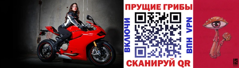 Псилоцибиновые грибы MAGIC MUSHROOMS  Дедовск 